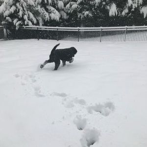 Meet your Posher, Will